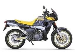 TDR 250