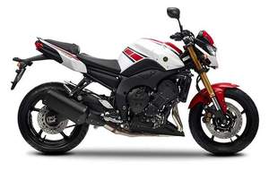 FZ8