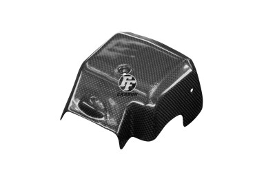 Coperchio in ABS Carbonio per MV Agusta F3 Carbonio+Fibra di Vetro | Tela | Brillante