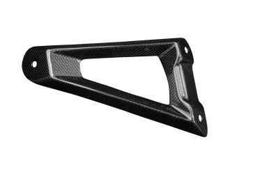Carbon Exhaust Holder for BMW S1000RR 2019- 