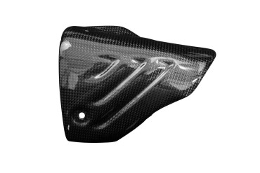 Carbon Exhaust Cover Akrapovic exhaust for BMW S1000RR 2019- 