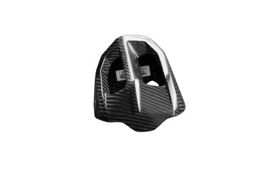 Carénage d´échappement Carbone pour BMW F 900 R 2020-2021 