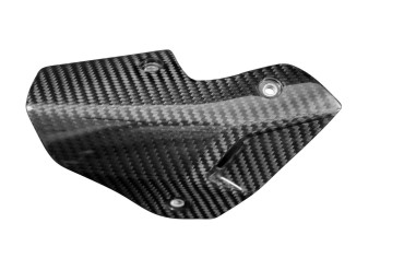 carenatura di scarico Carbonio per BMW S 1000 R 2021- Carbonio+Fibra di Vetro | Spigato | Brillante