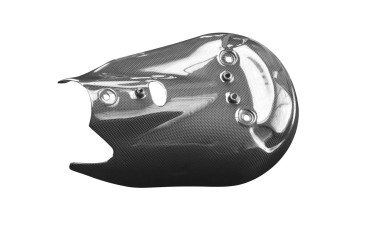 Carbon Auspuffverkleidung für Ducati Panigale 1299 Carbon+Fiberglas | Leinwand | Glossy