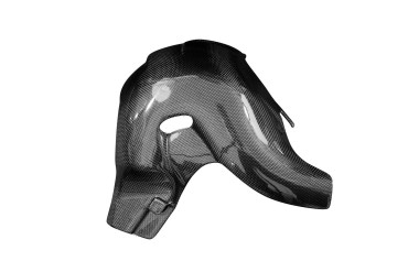 carenatura di scarico Carbonio per Ducati Panigale V4 / V4S Carbonio+Fibra di Vetro | Tela | Brillante