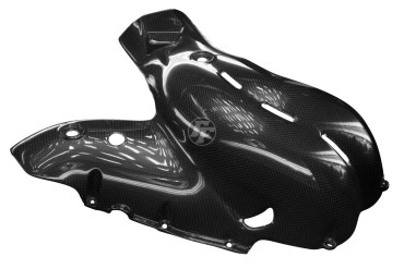 Carbon Auspuffverkleidung für Ducati Streetfighter V4 2020-2021 100% Carbon | Leinwand | Glossy