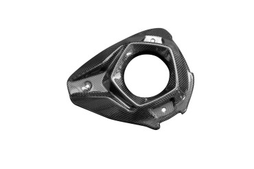 Carbon Auspuffverkleidung für Kawasaki Z H2 