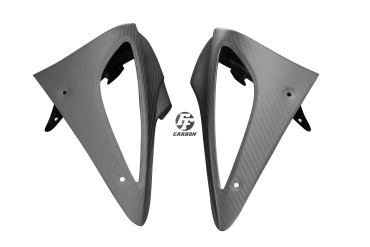 Pannello degli indicatori di direzione Carbonio per BMW R1100S/R Carbonio+Fibra di Vetro | Spigato | Opaco