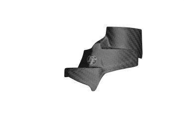 Carbon Brake Fluid Reservoir Fairing for Aprilia Tuono V4 2015-2016 