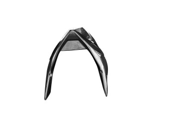 Carbon Belly Pan Racing for BMW S 1000 RR 2019- / M 1000 RR 2021- 