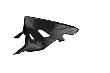 Carbon Bugspoiler Racing für BMW S 1000 RR 2019- / M 1000 RR 2021- Carbon+Fiberglas | Leinwand | Glossy