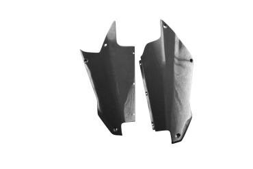 Carbon Bugspoiler für Aprilia RS 660 