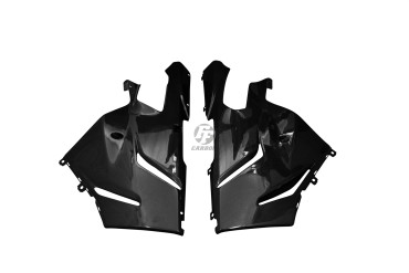 Sabot Carbone pour Aprilia RSV 1000R 2004-2009 
