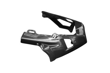 Sabot Carbone pour Aprilia RSV 1000R Tuono 2006-2011 
