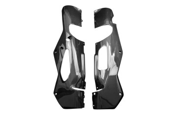 Carbon Bugspoiler für Aprilia RSV4 2021- / RSV4 Factory 2021- Carbon+Fiberglas | Leinwand | Glossy
