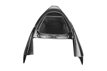 Carbon Belly Pan for Aprilia Tuono V4 2015-2020 