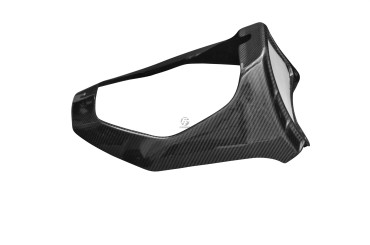 Carbon Belly Pan for Aprilia Tuono V4 2015-2020 