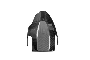 Carbon Bugspoiler für BMW R Nine T 