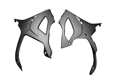 Carbon Belly Pan for BMW S 1000 RR 2019- / M 1000 RR 2021- 