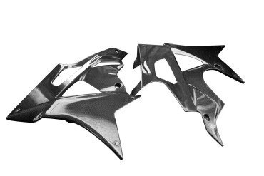 Sabot Carbone pour BMW S1000RR 2010-2014 