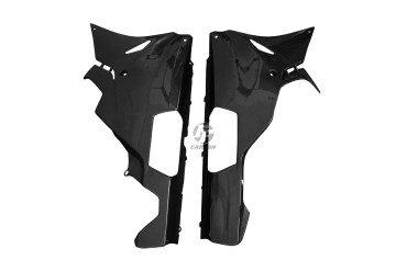Sabot Carbone pour BMW S1000RR 2015-2016 