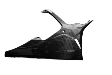 Carbon Belly Pan for BMW S1000RR 2019- 