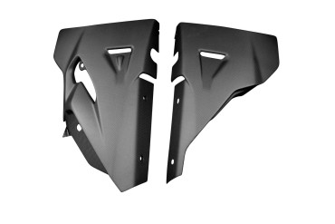 Sabot Carbone pour Ducati Diavel 1260/1260S 2019-2020 100% Carbone | Toile Contraignant | Mat