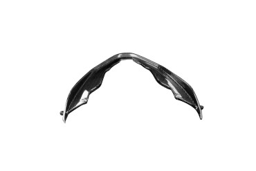 Sabot Carbone pour Ducati Streetfighter V4 2020- 