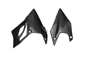 Carbon Bugspoiler für Kawasaki Z 1000 2010- 2013 
