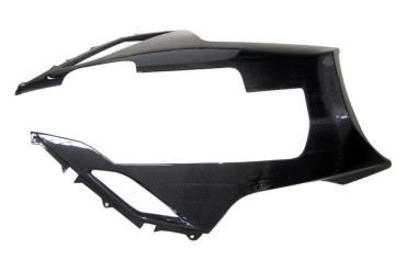 Carbon Bugspoiler für Kawasaki ZX-6R 2007-2008 