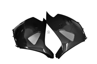 Alerón del motor Carbono por Kawasaki ZZR 1400 / ZX-14R 2006-2011 100% Carbono | Patron Sencillo | Brillante