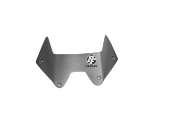 Carbon Bugspoiler für Kawasaki ZZR 1400 / ZX-14R 2006-2015 