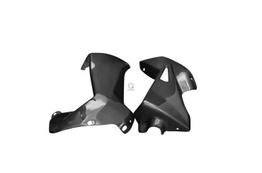 Carbon Belly Pan for MV Agusta Rivale 800 