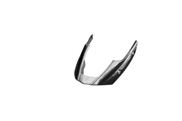 Carbon Bugspoiler für Triumph Speed Triple 2011-2015 
