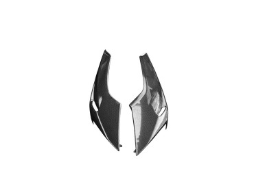 Alerón del motor Carbono por Triumph Street Triple 2020- 