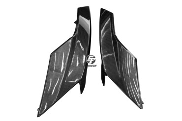 Carbon Belly Pan for Triumph Street Triple 765 2017- 