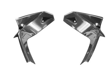 Carbon Cockpit Innenverkleidung für Aprilia RS 660 