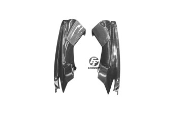 Finiture interne del pozzetto Carbonio per Aprilia RSV 4 RR/RF 2015-2020 