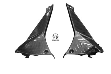 Carbon Cockpit Innenverkleidung für BMW R 1200 RS 2015- Carbon+Fiberglas | Leinwand | Glossy
