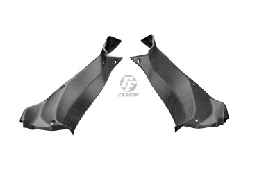 Finiture interne del pozzetto Carbonio per Kawasaki Ninja H2 SX / SXSE 2018-2020 Carbonio+Fibra di Vetro | Spigato | Opaco