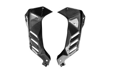 Finiture interne del pozzetto Carbonio per Kawasaki ZX-10R 2021- Carbonio+Fibra di Vetro | Tela | Brillante