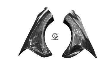 Finiture interne del pozzetto Carbonio per Kawasaki ZX-6R 2007-2008 Carbonio+Fibra di Vetro | Tela | Brillante