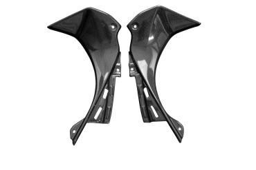 Finiture interne del pozzetto Carbonio per Kawasaki ZX-6R 2019- 