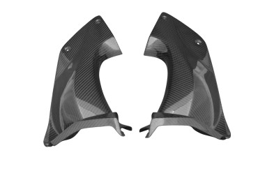 Covertor de Tablero (partes laterales) Carbono por Kawasaki ZZR 1400 / ZX-14R 2006-2011 Carbono+Fibra de Vidrio | Patron Enlazado | Brillante