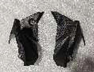 Carbon Cockpitverkleidung für BMW F 900 XR 2021- 