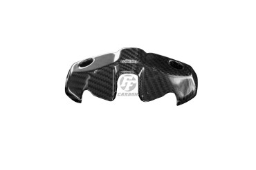 assetto cabina di pilotaggio Carbonio per Ducati Monster 797 / 1200 / 1200S 2017- Carbonio+Fibra di Vetro | Spigato | Brillante