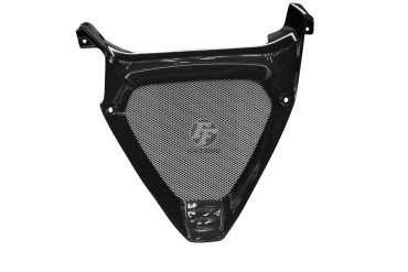 Marco triangular (Covertor de radiadores de aceite) Carbono por Ducati Diavel 1260/1260S 2019-2020 