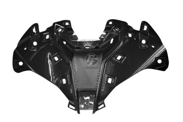 Carbon Front Fairing (Central Part) for BMW S 1000 RR 2019- / M 1000 RR 2021- 