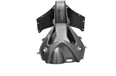 Carénage avant (Partie Centrale) Carbone pour BMW S1000RR 2010-2014 