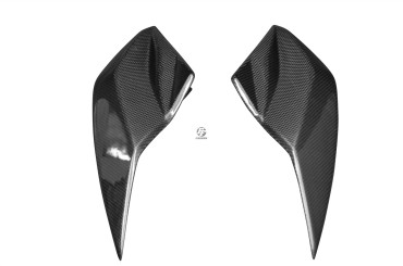 Carbon Frontverkleidung Mittelteil für Kawasaki Z1000 2010-2013 